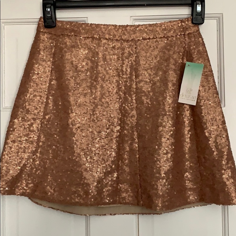Fancy Holiday sequin skirt